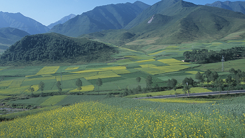 ChinaMobile строит новую площадку на западе Китая